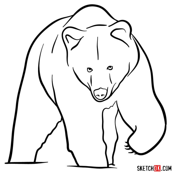 Easy drawing of bear legs