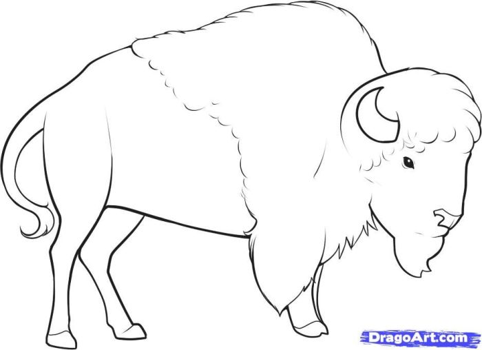 Buffalo grass easy drawing