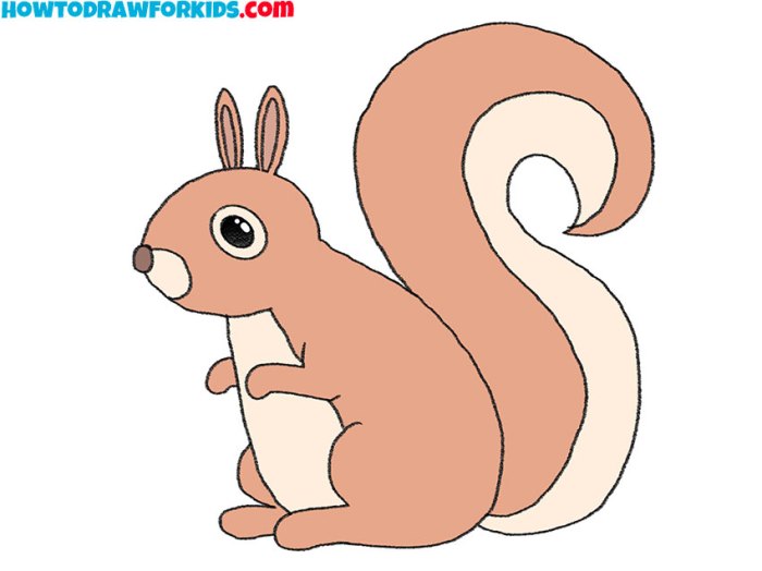 Easy drawing of a squirrel