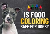 Is food coloring toxic to animals