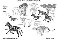 Safari animals coloring sheets