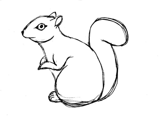 Easy drawing of a squirrel