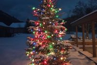 Outdoor christmas tree decor