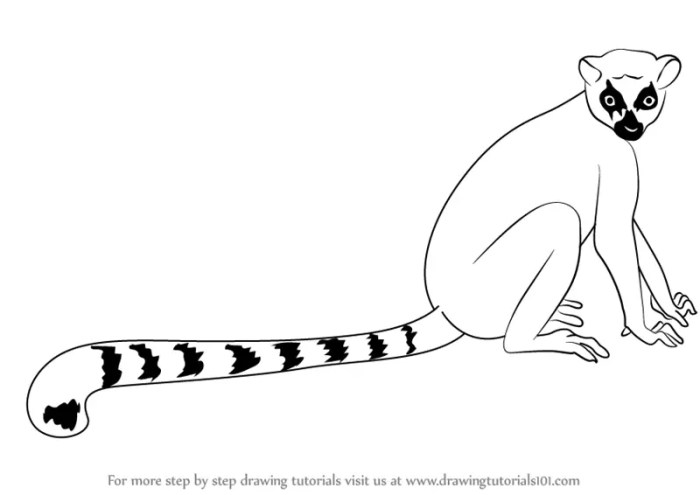 Easy drawing of lemurs