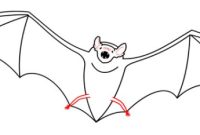 Fruit bat drawing easy haed