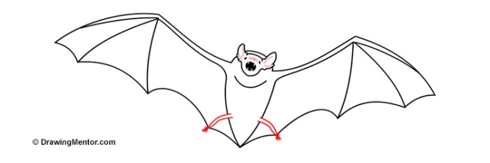 Fruit bat drawing easy haed