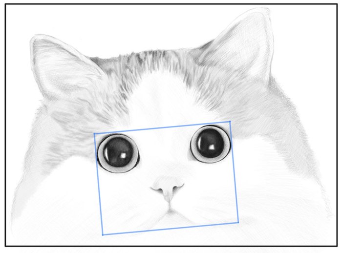 Cat face drawing easy