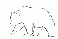 Easy drawing of bear legs