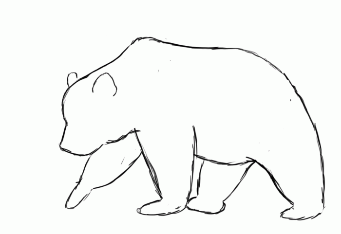 Easy drawing of bear legs