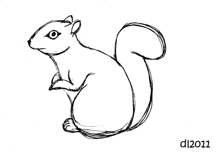 Squirrel drawing coloring clipart white line outline pages easy drawings flying step kids printable squirrels clip animal cliparts garden paintingvalley