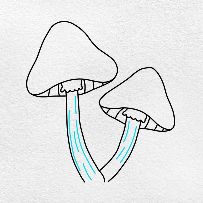 Fungi drawing easy but relistic