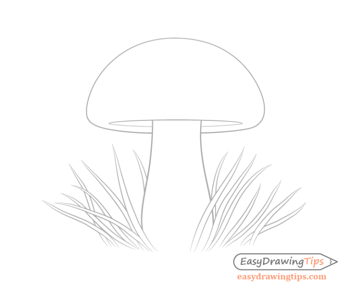 Fungi drawing easy but relistic