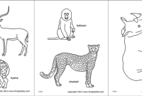 Safari animal coloring sheets