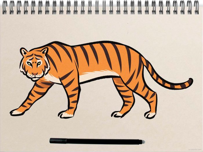 Easy drawing ideas tiger